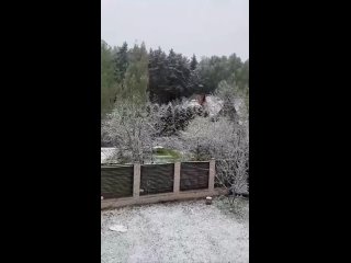 На Москву обрушился майский снегопад