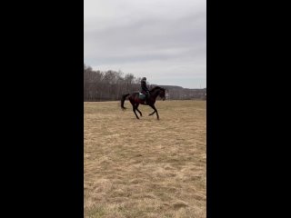 Видео от Спортивная команда ”Imperial_horses_moscow“
