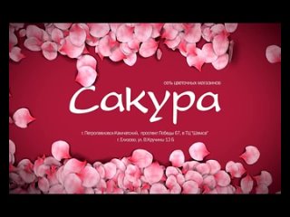 Сеть цветочных магазинов Сакура