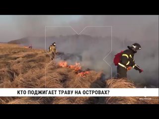Режим ЧС в лесах действует в Хабаровском крае: только за прошедшие сутки в регионе возникло 136 термоточек