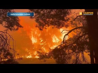 В 15-километровой зоне обстрелы со стороны ВСУ приводят к возникновению масштабных лесных пожаров