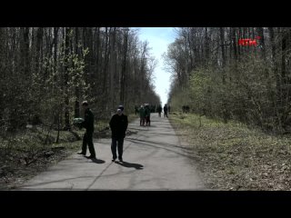 Старт республиканской акции «Чистые леса в Республике Мордовия»