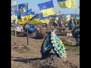 🇺🇦☠️Такая картина сейчас по всей Украине

Как и во многих других областях Незалежной это кладбище каждый день пополняется свежим