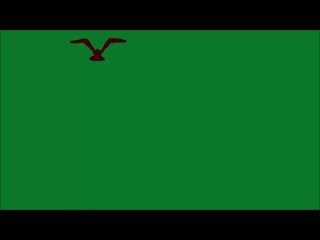 Птица машет крыльями, зелёный фон