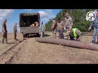 Видео от Помощь военным БРЕВНА31