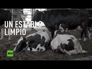 Sanciones_ ¿Ventana de oportunidades_ - Documental de RT_-211722943_456239046_720p