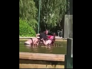 Мужчина пытался утопить женщину в общественном фонтане!