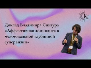 Аффективная доминанта в межмодальной глубинной супервизии Доклад Владимира Снигура