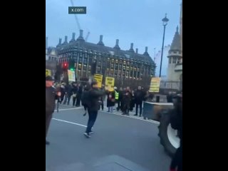 🇬🇧 British farmers stage mass protest in central London