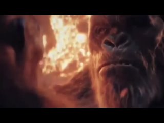 [The Spider Guy] Kong punches ape meme #2