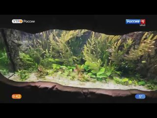 Видео от Океанариум Екатеринбурга
