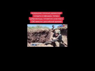 _russia_army_z_2024-04-29-06-34-44_1714361684235.mp4