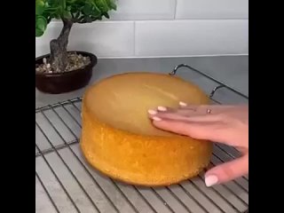 Рецепт идеального бисквита