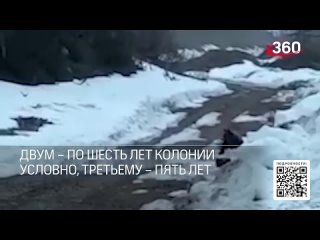 Взорвавшим медведя вахтовикам вынесли приговор. Суд Магаданской области признал их виновными в хищении взрывчатых веществ