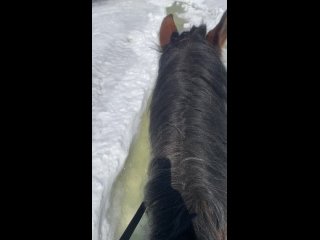 Видео от КТК «Сивка-Бурка» Шерегеш