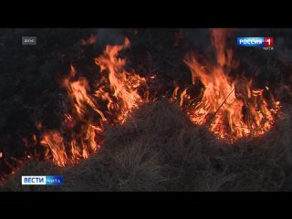 Более 250 гектаров леса сгорело в Забайкалье за сутки
