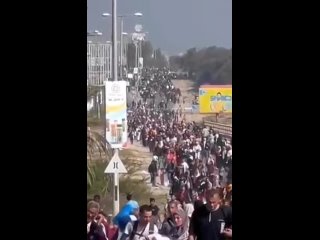 ИСХОД В НИКУДА. Беженцы покидают Рафах перед началом военной операции Израиля
