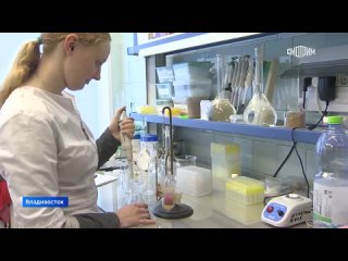 Российские ученые продолжают открывать новые полезные свойства красных водорослей. Так, специалисты создали инновационную пленку
