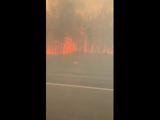 В Братском районе Иркутской области ввели режим ЧС из-за пожаров на дачах.