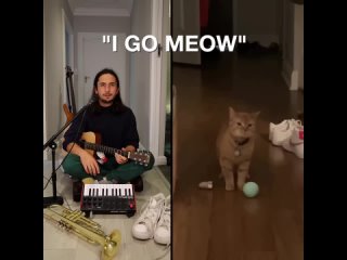 The Kiffness x Cala - I Go Meow (Singing Cat)