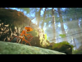 Расширенный трейлер «Empire of the Ants» (2024) 4K