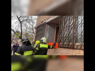 🙄 В Москве спасателям пришлось спиливать оконную решётку, чтобы вытащить 300 килограммового мужчину из квартиры.