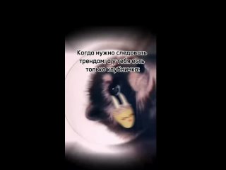 Video by Сладкий букет Барнаул