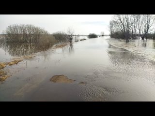 Дорога на Канаково 8 апреля, значительный подъём воды.