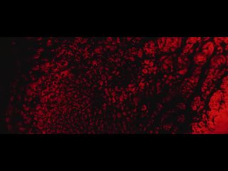 FORTUNA 812 - clubstory(prod. enwymansion + erdo)