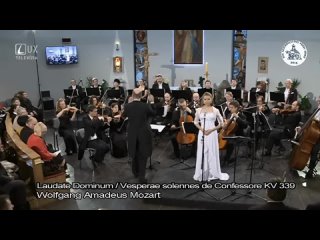 Patricia Yanechkova - Fragments of Concerts (2012 - 2018)