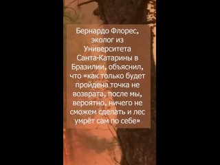 Видео от Натальи Логуновской