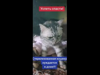 Видео от ДАЙ ЛАПУ, МИКАШЕВИЧИ