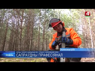 Лучший в Беларуси вальщик леса работает в Калинковичском районе