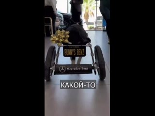 Mercedes сделал инвалидное кресло для СОБАКИ