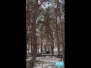 Видео от ▇▇ Нижнекамск Вконтакте ▇▇