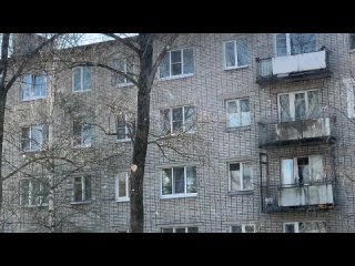 Video by Группа РОМАШКА 2023-2026