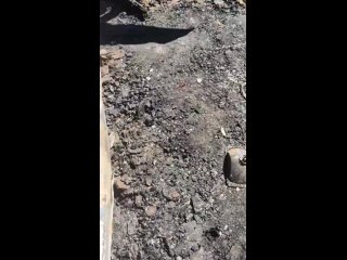 В воронежском селе огонь уничтожил автомобиль и гараж