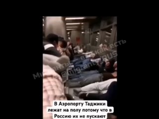 ⚡В аэропортах “Жуковский“, “Домодедово“, “Шереметьево“ и “Внуково“ в зонах временного содержания находятся более 1 тыс. граждан Таджикистана, в том числе приехавших для обучения в вузах России, сообщает МИД Таджикистана.  Официальный представитель МИД Мария Захарова подчеркнула, что тщательные проверки въезжающих в РФ носят временный характер и не имеют отношения к национальной принадлежности граждан.  P.S. Временный характер🤔 Видимо пока накал экстремизма не спадёт, ну или пока про Крокус Сити не забудут...