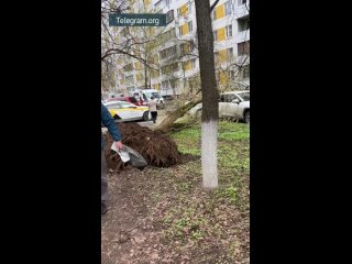 ️Дерево упало на человека и машины из-за сильного ветра на севере Москвы. Очевидцы в соцсетях пишут, что у пострадавшего перелом