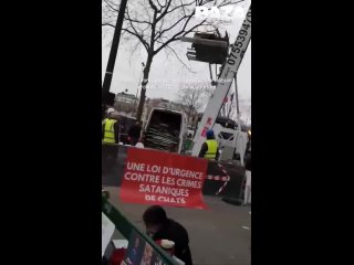 В Париже проходят пикеты около посольства Китая — митингующие требуют обратить внимание на живодеров, которые крадут котов и изд
