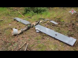 Расчеты зенитных установок ЗУ-23-2 российских десантников уничтожили в небе над Херсонской областью ударный беспилотник Warm