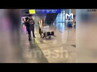 Пьяная пассажирка рейса Тбилиси — Москва закатила стриптиз на борту, приставая к мужчине рядом. Сосе