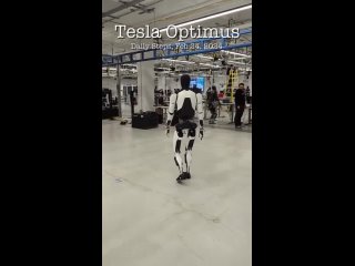 Optimus getting daily steps in, Feb 24, 2024 - Tesla Bot Improved