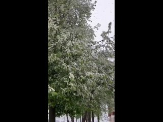 Снежный май в Нижнекамске
