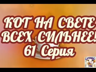 Кот на свете всех сильнее! 61 Серия.