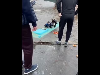 В центре Санкт-Петербурга автобус с 20 пассажирами упал в реку Мойку.    Автобус вылетел с моста в результате ДТП —... (видео)