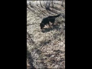 Видео от Доброта спасёт мир