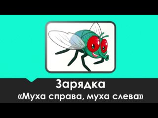 Зарядка «Муха справа, муха слева»