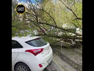 Девятибалльный шторм в Москве: остановку перевернуло на Южной улице, дверь ПВЗ WB вырвало и разбило в Бутово, несколько деревьев