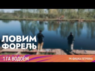 РК ФИШКА ПЕТРЯИХА! Ловим форель на 1 гектарном! ЗДЕСЬ ФОРЕЛЬ ЕСТЬ!